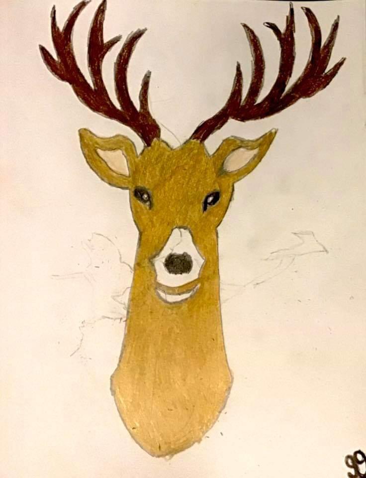 12 Point Buck GG – 9″ x 12″ Colored Pencil