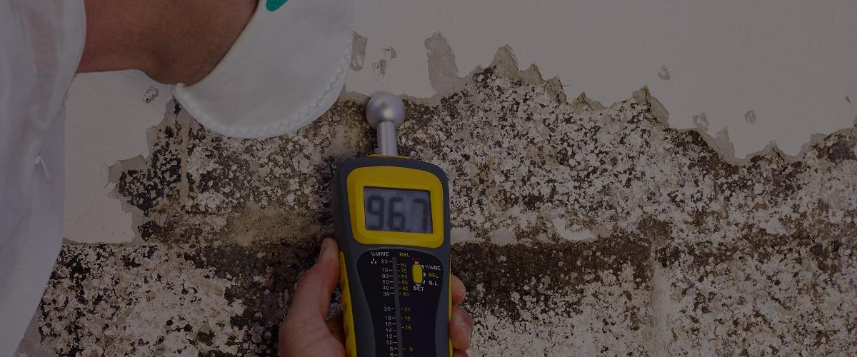 Reliable and Certified Mold Inspector Minot
