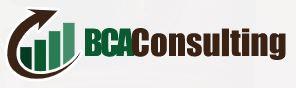 BCA Consulting