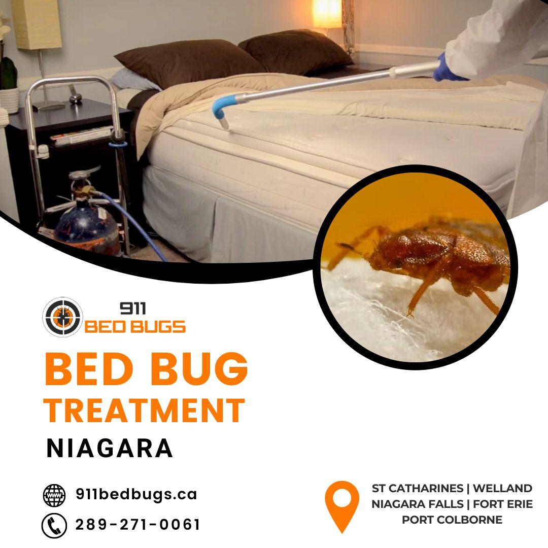 Bed Bug Pest Control in Niagara