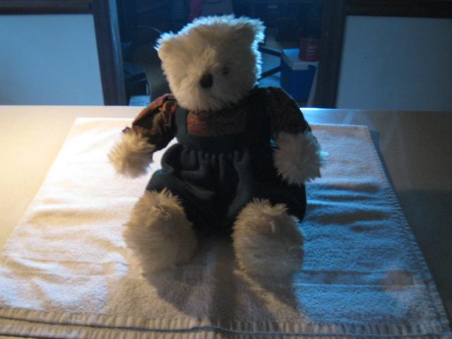 Teddy Bear as pictured – 12” H X 11” W © 