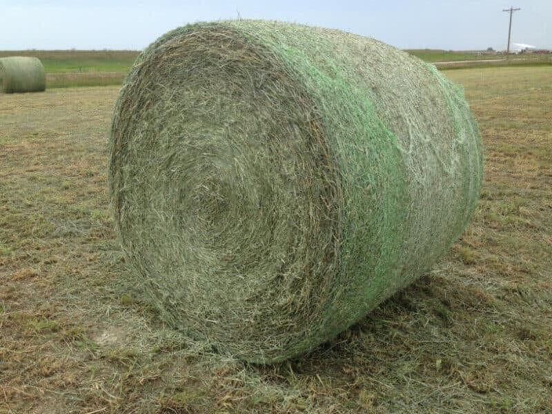  First cut hay for sale