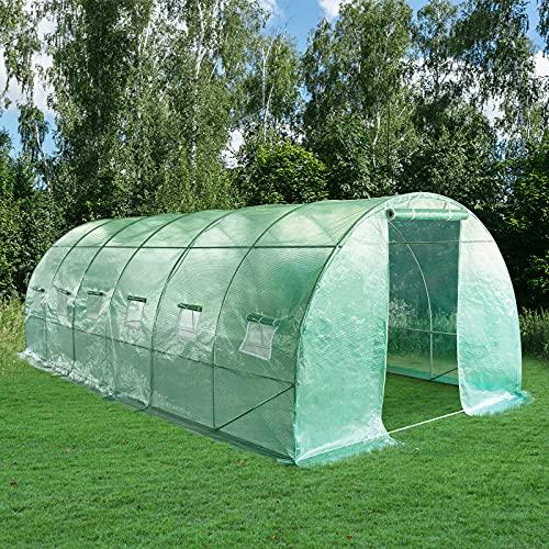 10X20 GreenHouse